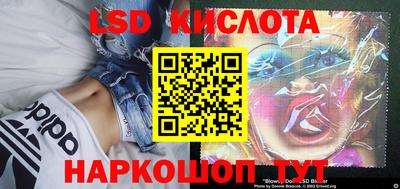 шишки Партизанск