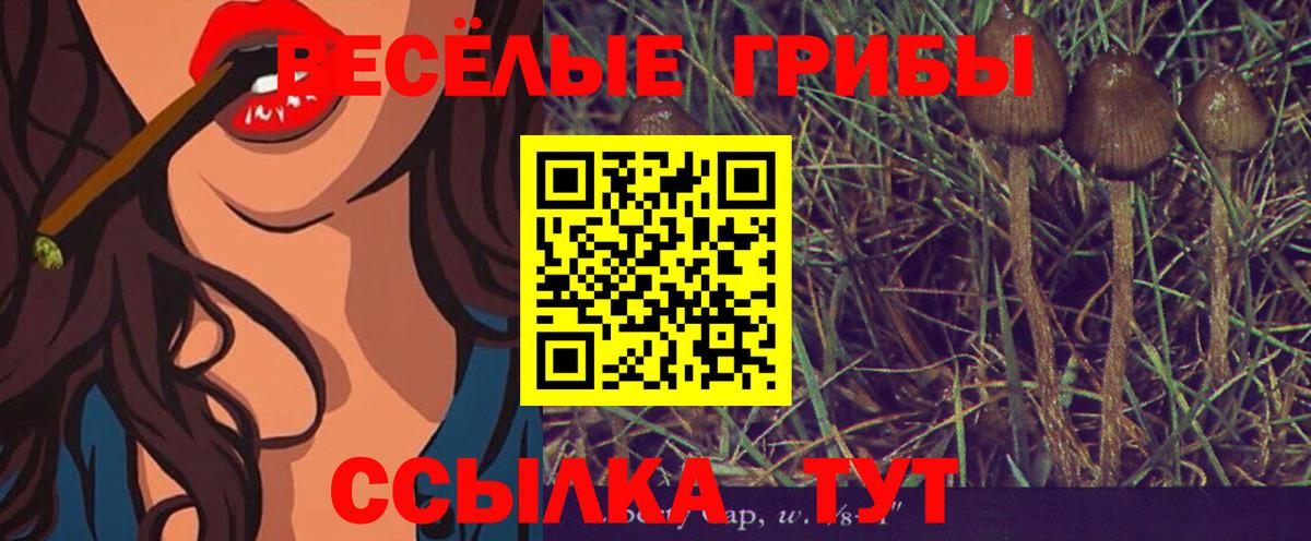 Псилоцибиновые грибы мицелий  Вход с VPN  Рубцовск  Галлюциногенные грибы мицелий 