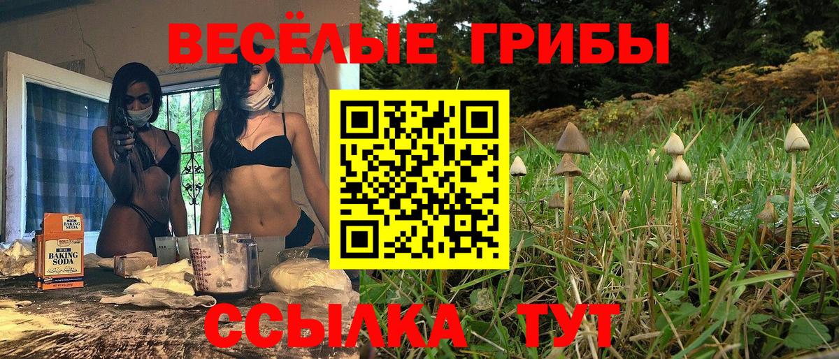 Галлюциногенные грибы GOLDEN TEACHER Рубцовск